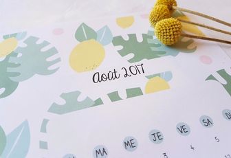 Calendrier d'août 2017