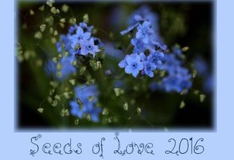Seeds of Love 2016