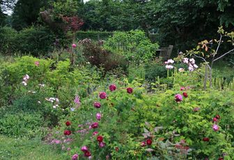 Ouverture(s) du jardin