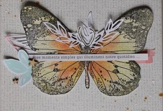 Album - Crop Gaelle Ly