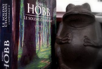 Le Soldat chamane, tome 2 de Robin Hobb