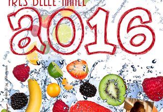 Belle et joyeuse année 2016 !