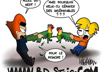 Y'en a marre du bonheur !