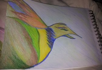 Dessin