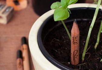 Sprout, un crayon qui pousse