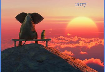 Bonne année 2017 !