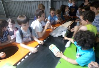 Visite du Centre de tri