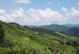 Chine (Anhui) : treks et randonnées - revue 2015