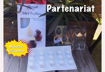 PARTENARIAT MOULES SILICONES