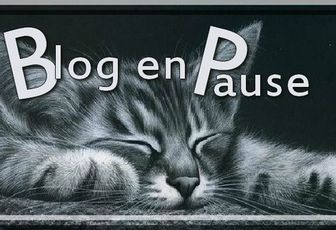 BLOG EN PAUSE