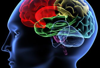 Le Schizophrène est un esprit évolué