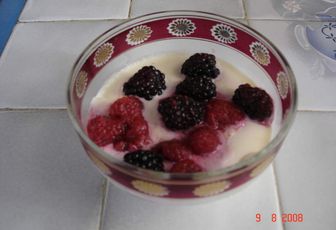 Panna cotta