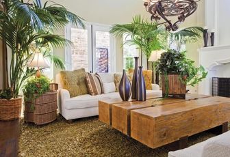 L'Art du Feng Shui