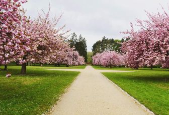 Parc de Sceaux