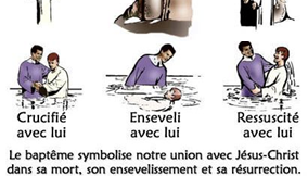 13° dimanche du Temps ordinaire A (Romains 6, 3-4.8-11) (DiMail 338)