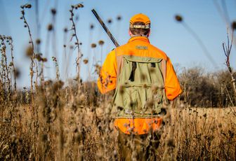 Actualités chasseurs