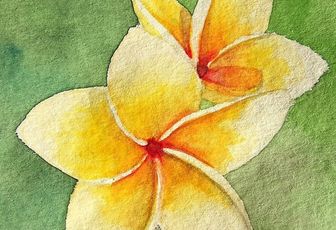 les cartes postales fleurs tropicales disponibles!