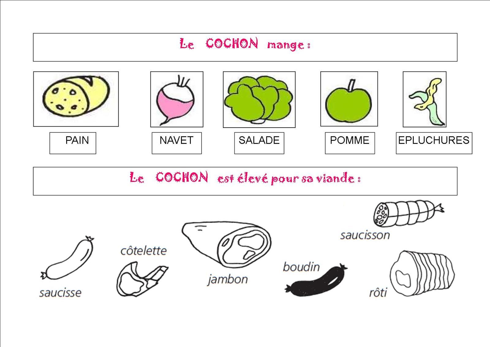 Fiche D Identité De La Pomme En Maternelle Langage : la fiche d'identité - l'alimentation - Maternelle Gringoire