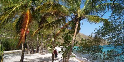 24_anse_a_l_ane_anse_noire