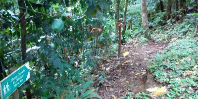 26_morne_chapeau_negre