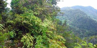 26_morne_chapeau_negre