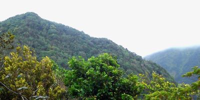 26_morne_chapeau_negre