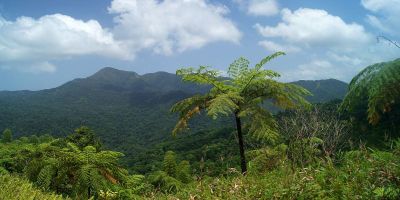 25_reculee_morne_l_etang