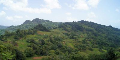 25_reculee_morne_l_etang