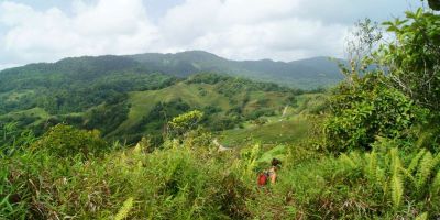 25_reculee_morne_l_etang