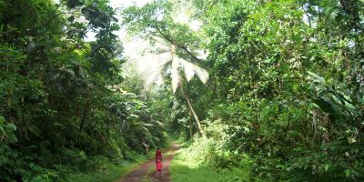 25_reculee_morne_l_etang