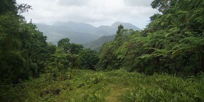 25_reculee_morne_l_etang