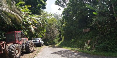 25_reculee_morne_l_etang