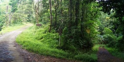 25_reculee_morne_l_etang