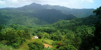 25_reculee_morne_l_etang