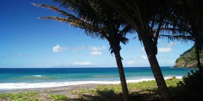 29_anse_a_voile_anse_levrier