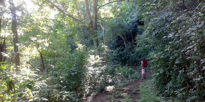 29_anse_a_voile_anse_levrier