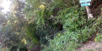 29_anse_a_voile_anse_levrier