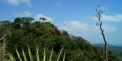 31_piton_creve_coeur