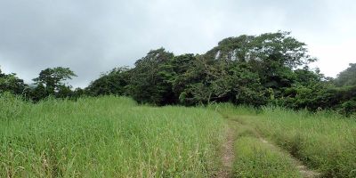 40_morne_macouba