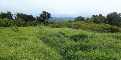 40_morne_macouba
