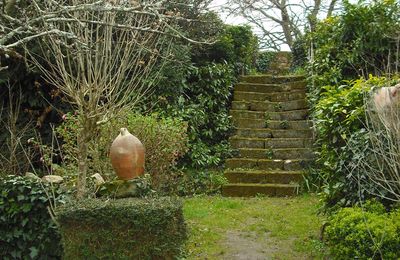 sorties amicales et rencontres entre amis