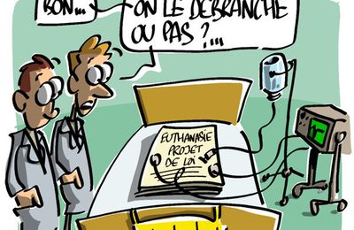 Rencontres nationales veterinaires nice