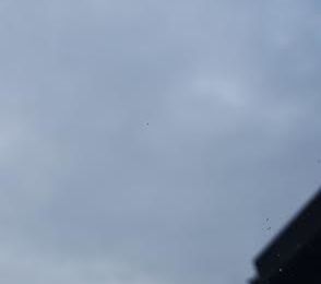 Rencontres avec des extraterrestres en 2016