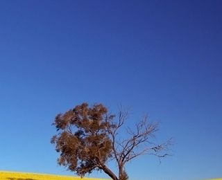 hadith sur la rencontre