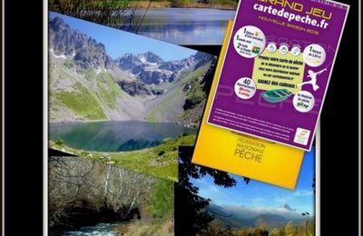 La pêche sur la carpe du printemps