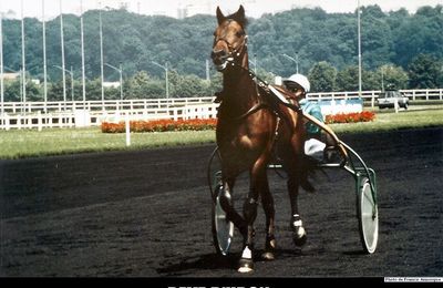 prix des rencontres internationales du trotteur français 2012