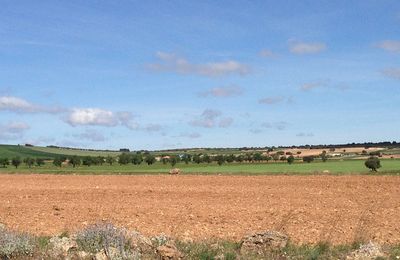 site de rencontre alignan du vent