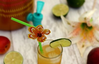 Mojito Recette Pour Une Bouteille De Rhum Amandine Cooking