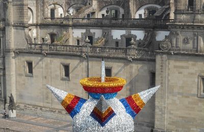 site de rencontre pour chihuahua