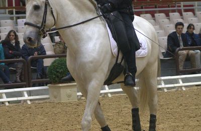 Rencontre equitation